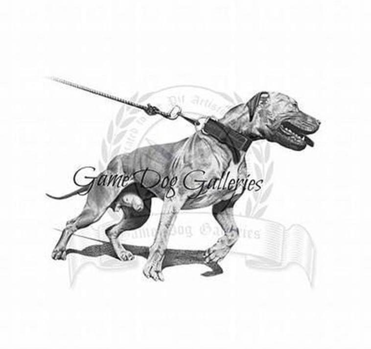 Gallery @ https://gamedog.se